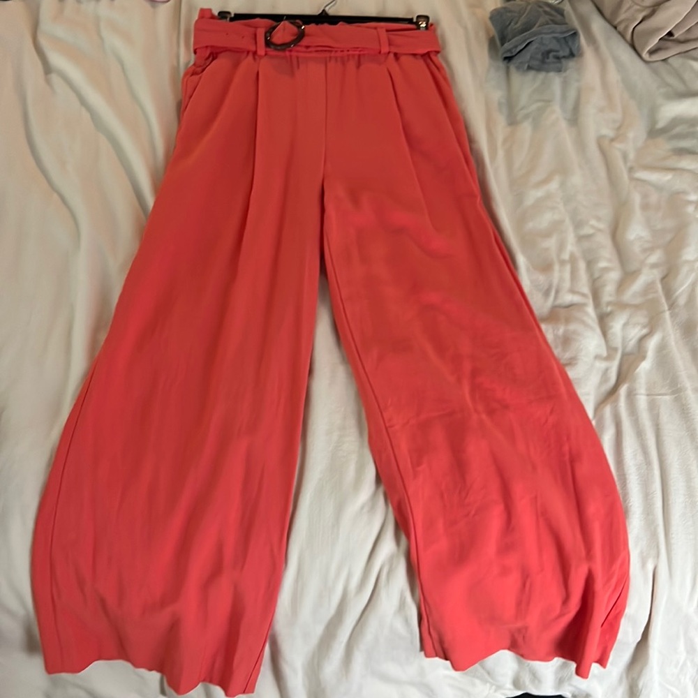 Size 4 Coral Ann Taylor Pants